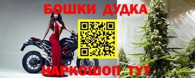 мдпв Новозыбков