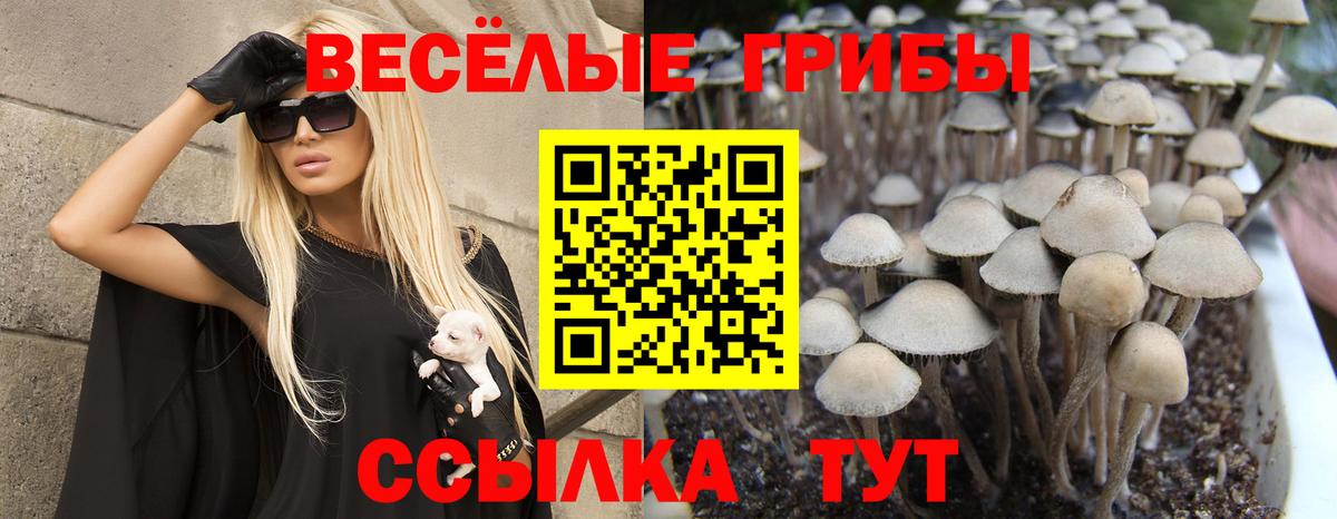 Ахтубинск  Псилоцибиновые грибы MAGIC MUSHROOMS  Галлюциногенные грибы ЛСД  Вход с VPN 