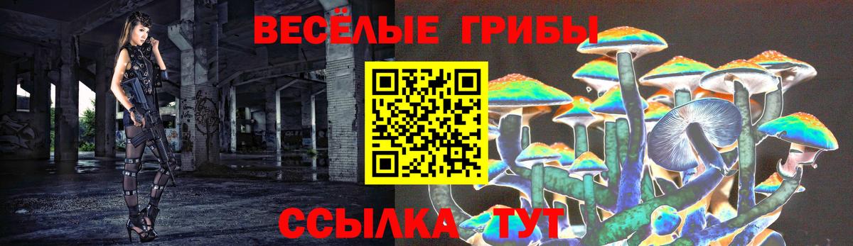 Галлюциногенные грибы GOLDEN TEACHER Ахтубинск